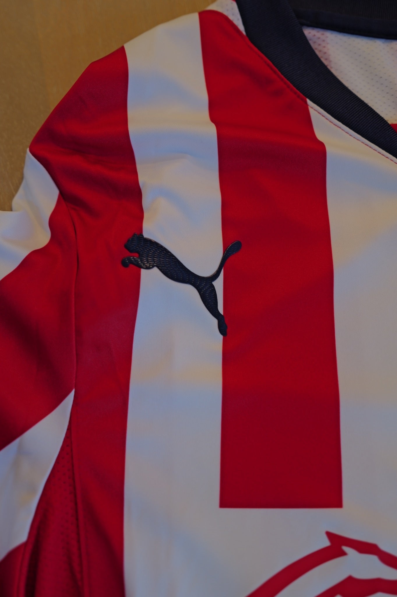 Chivas Guadalajara 2025/26 Authentic Home Jersey - Men's Medium